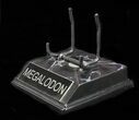 Custom "Megalodon" Display Stand - For Teeth 4 1/2"+ - Photo 2